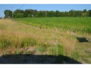 Property photo 51 - 64 Acre Farm Offered in 4 Tracts or in Combinations - Real Estate Auction